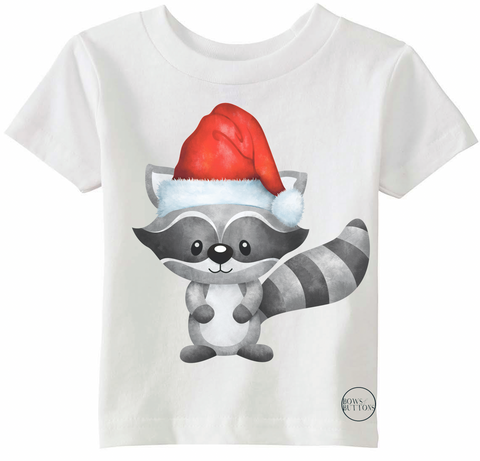 Winter Raccoon